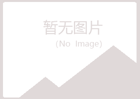 凉山夏槐化学有限公司